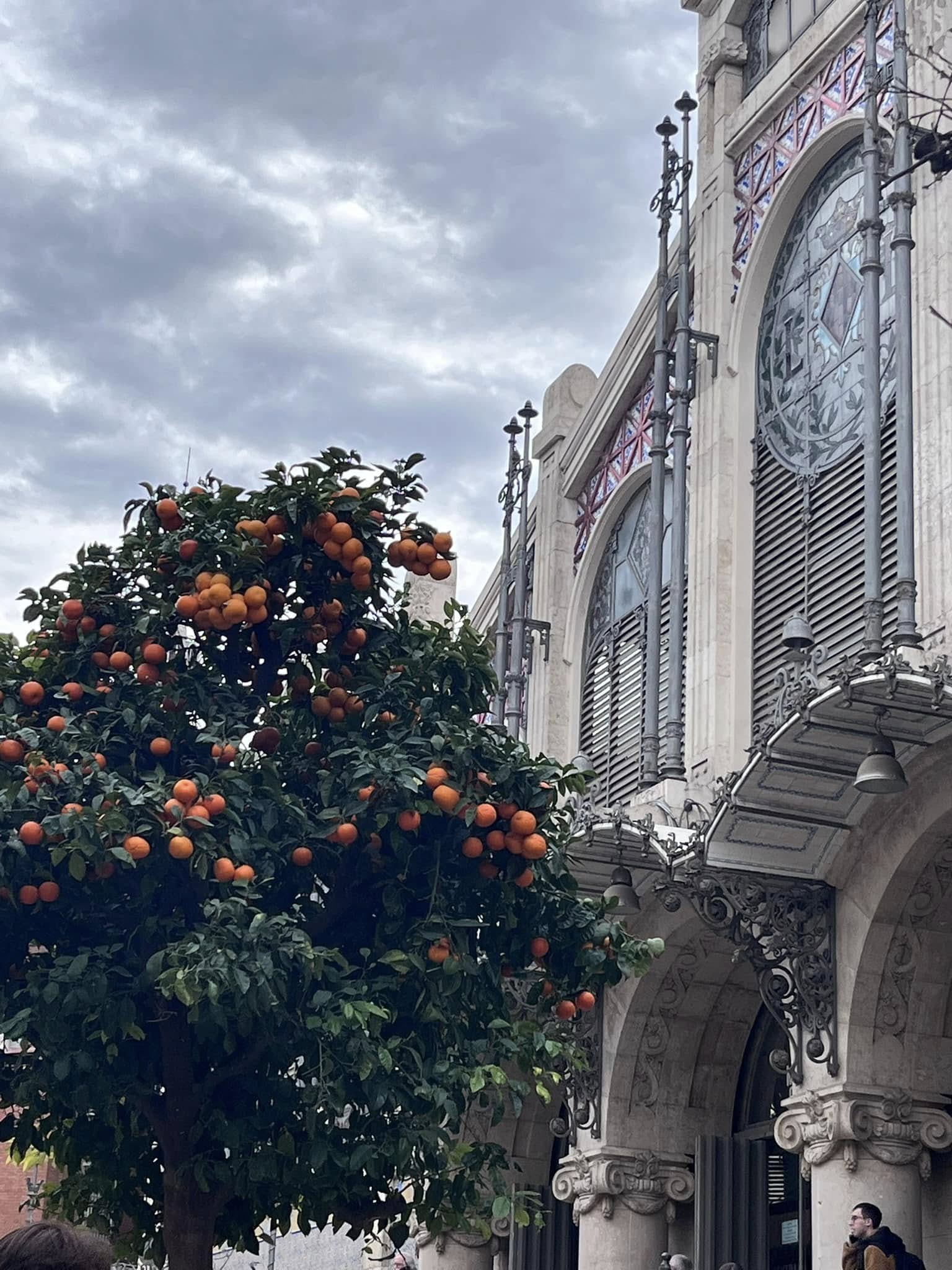 Best spots for a day trip to Valencia