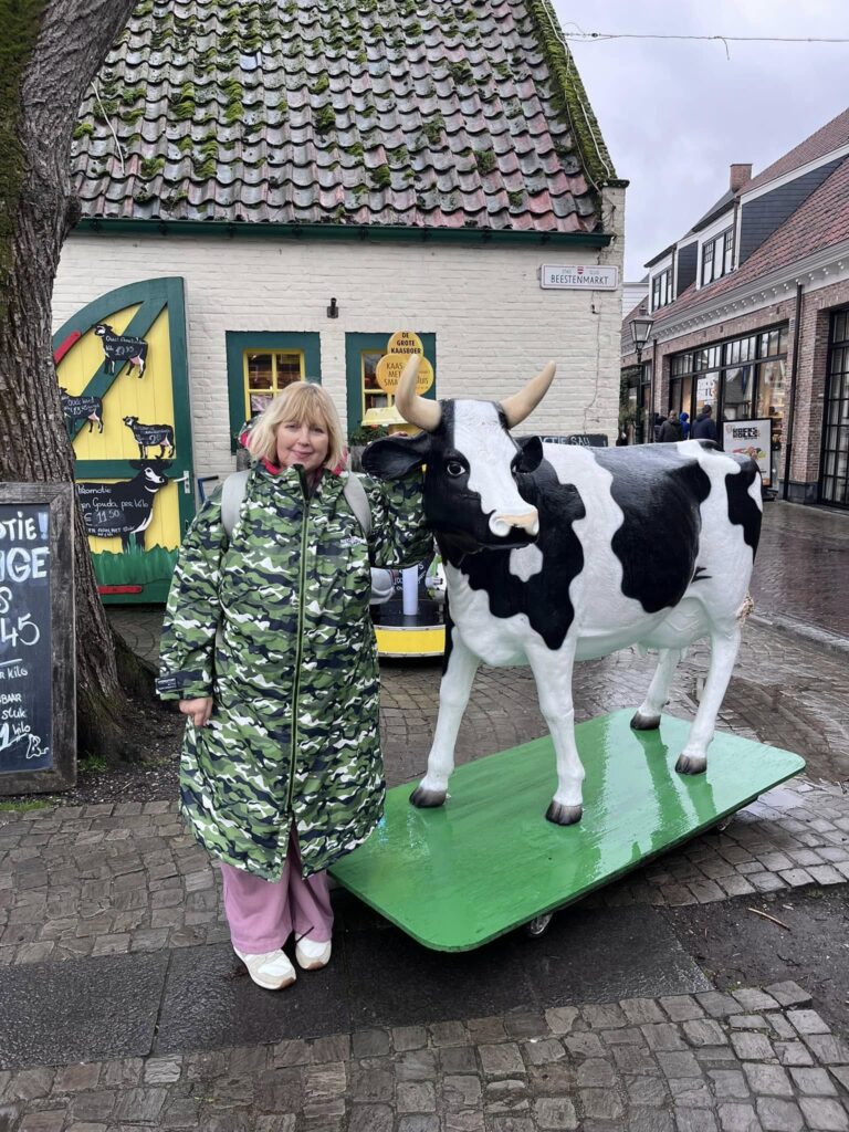 Meeting the cow, Sluis
